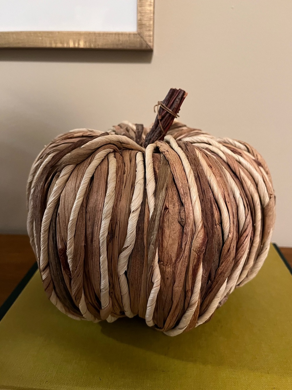 Natural Woven Pumpkin Décor - Neutral Brown & Cream
